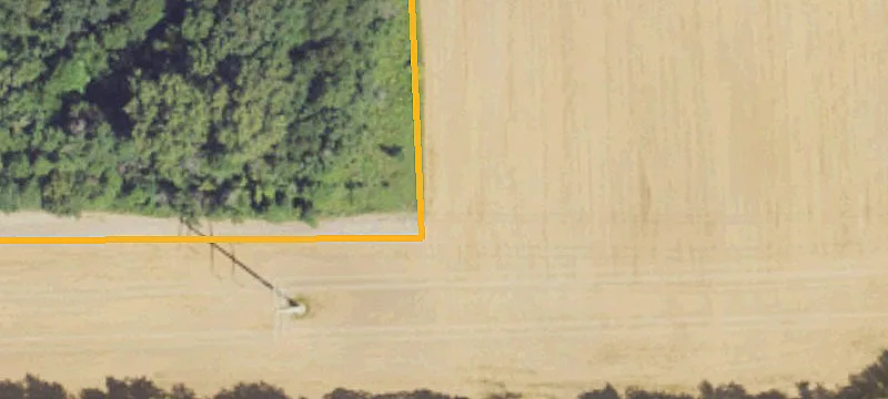 Stelzer Rd