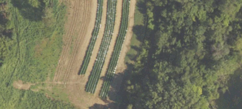 13087 Pioneer Rd