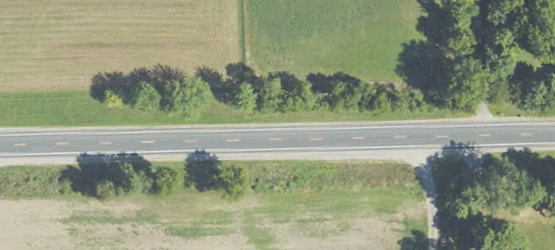 Jackson Rd