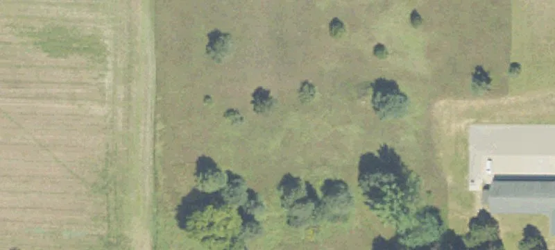 Us 31