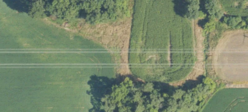 Roehm Rd