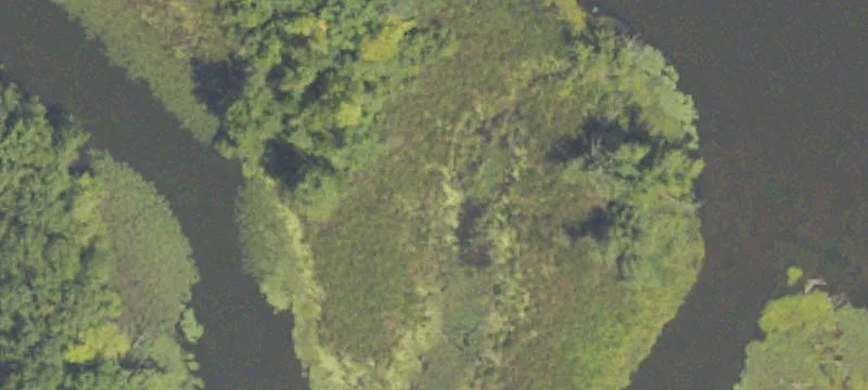 Mendon, MI 49072