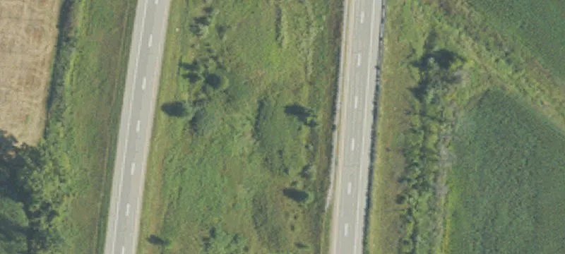 Shepherd, MI 48883