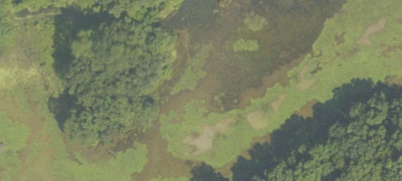 Mendon, MI 49072