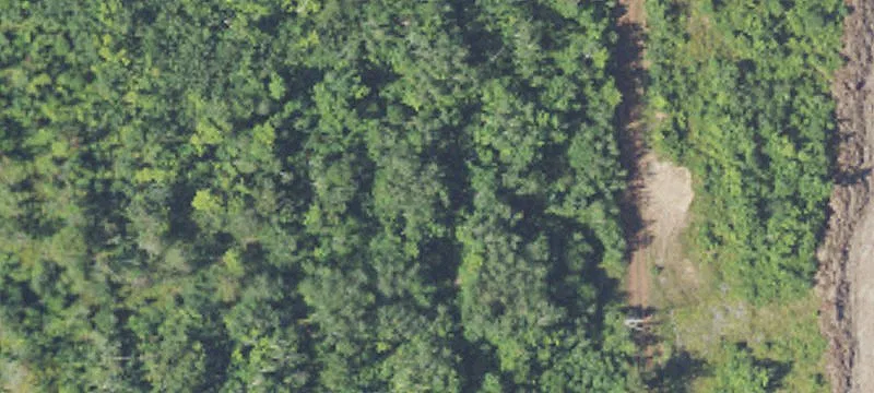 Eagle Mls Rd