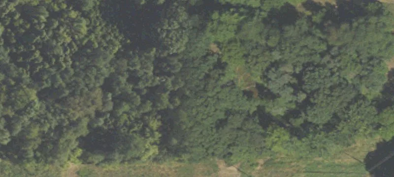 3554 Lincoln Rd