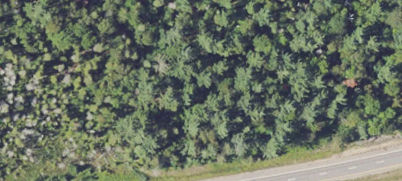 Us Hwy 41