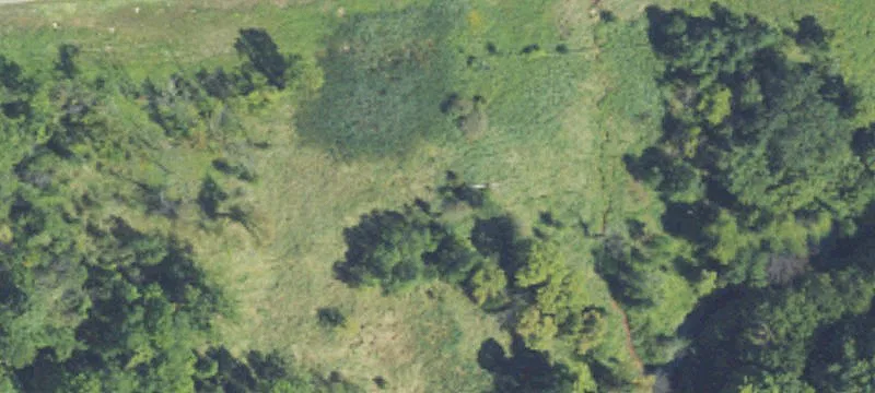 Fowlerville, MI 48836