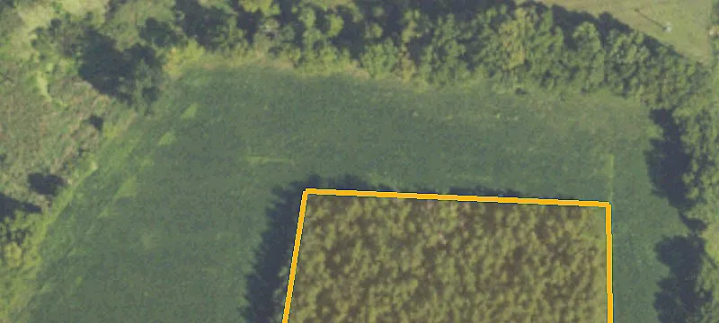 Three Rivers, MI 49093