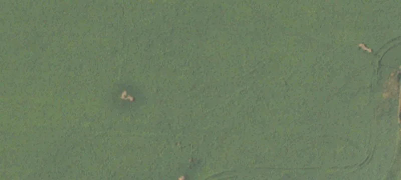 Jones, MI 49061