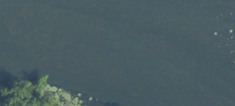 Galesburg, MI 49053