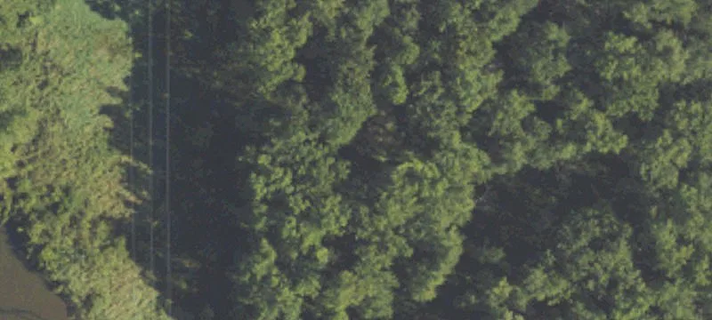Fennville, MI 49408