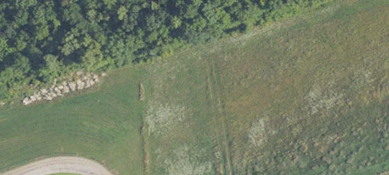 Maple Rapids, MI 48853