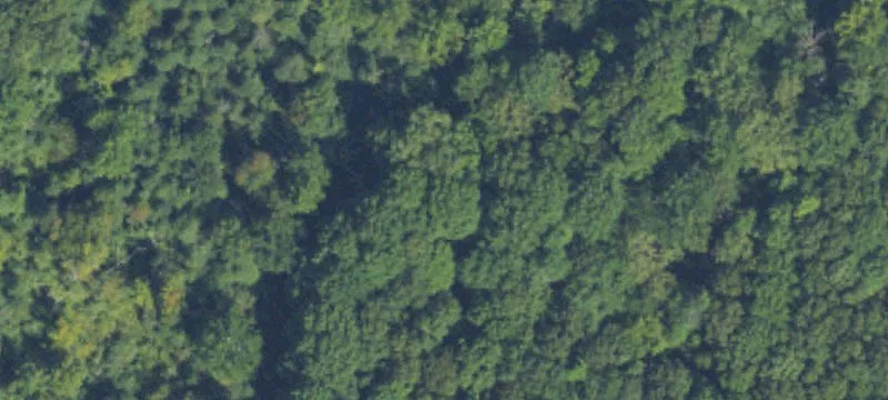 Galesburg, MI 49053