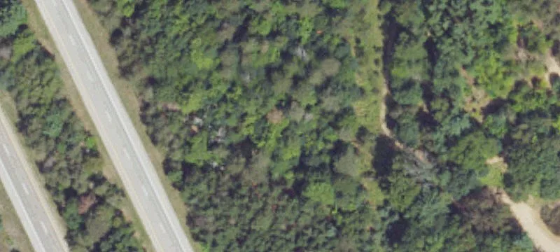 Olive Rd