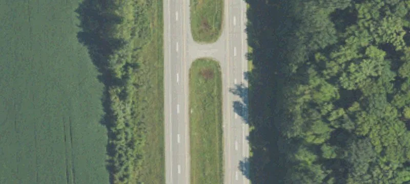 Shepherd, MI 48883