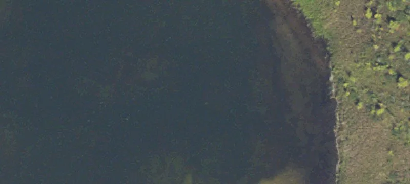 Haslett, MI 48840