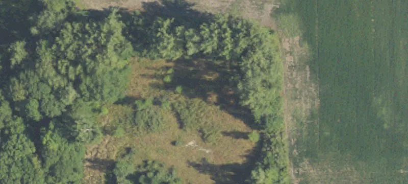 Waldo Rd