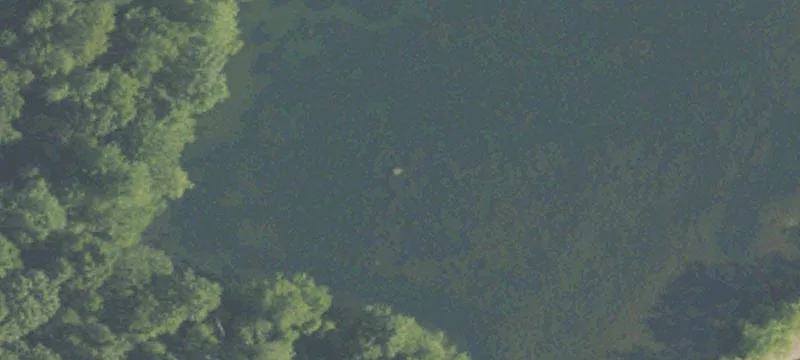 Jackson Rd Lagoon