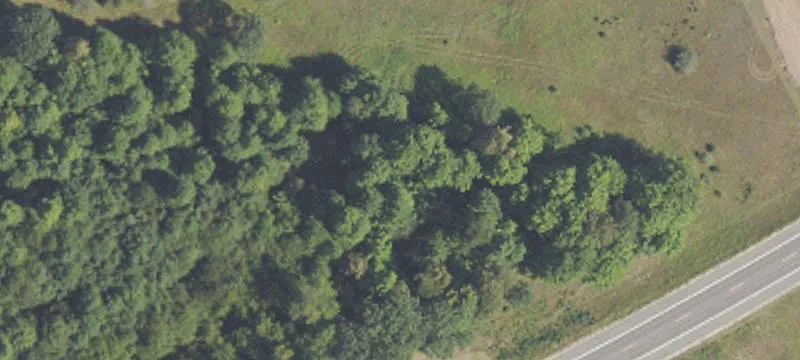 Us 131