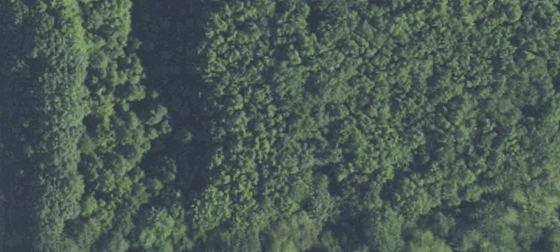 Territorial