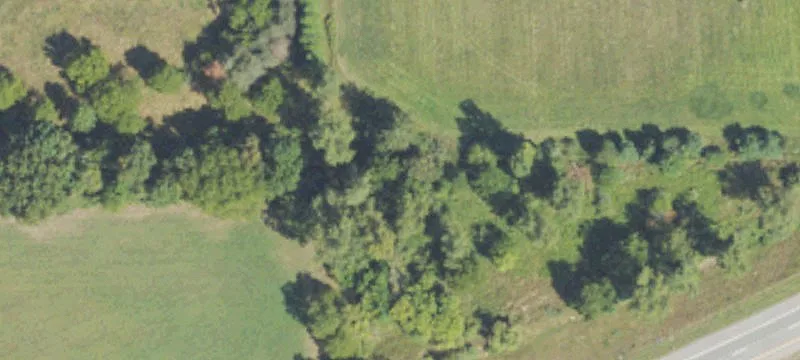 Bancroft, MI 48414
