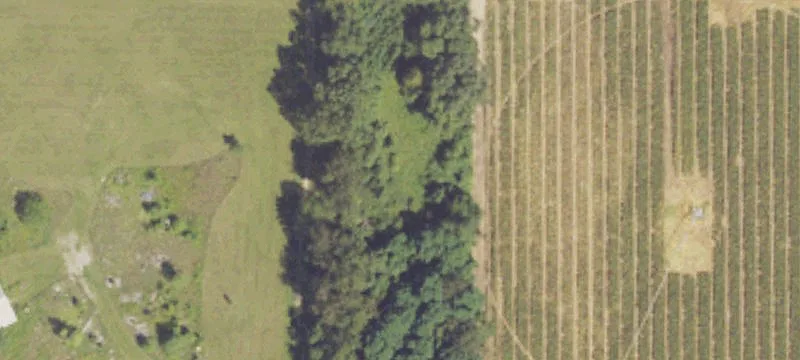 Mendon, MI 49072
