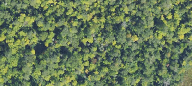 Rockland, MI 49960