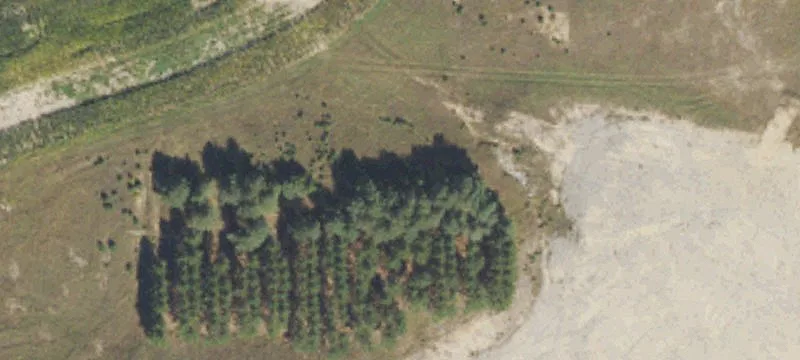 1246 Mt Tom Rd