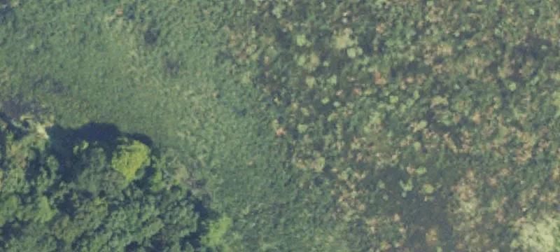 Galesburg, MI 49053