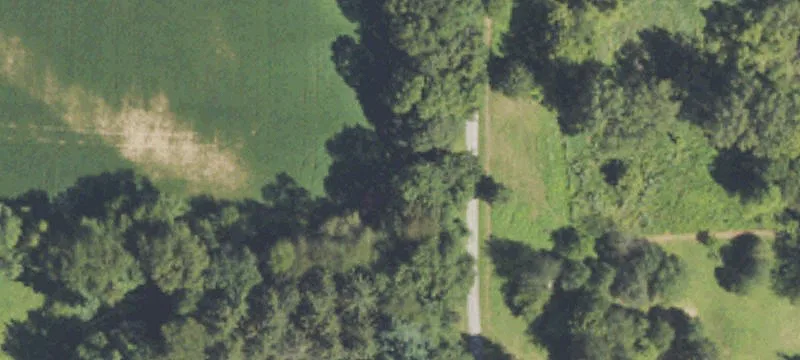 Fisher Rd