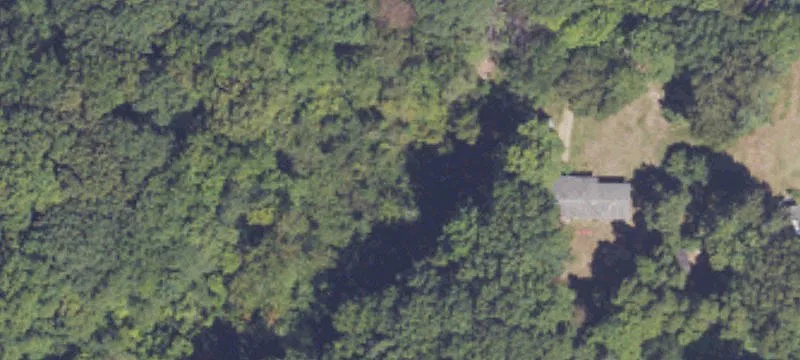 Wilson Rd