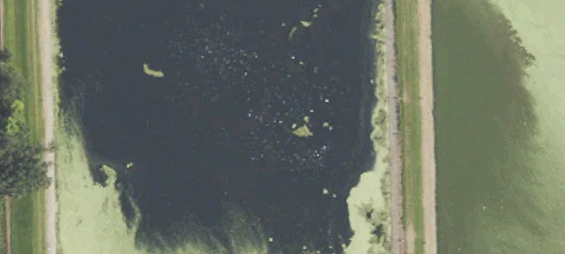 Lagoons