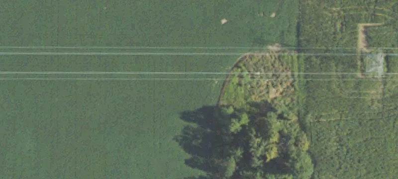 Alger Rd