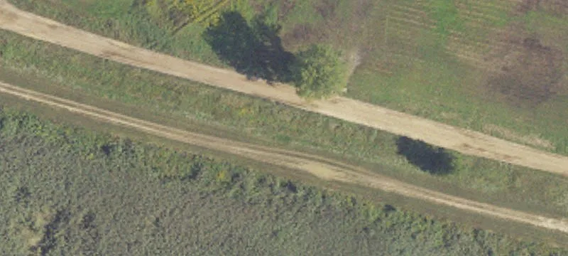 Polk Rd