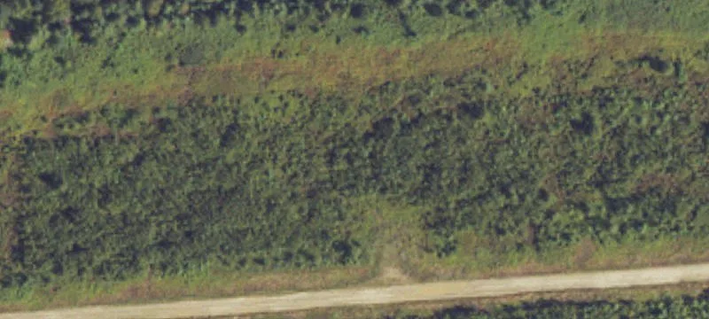 Polk Rd