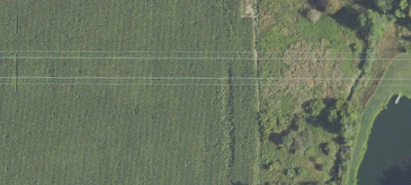 Perrinton, MI 48871