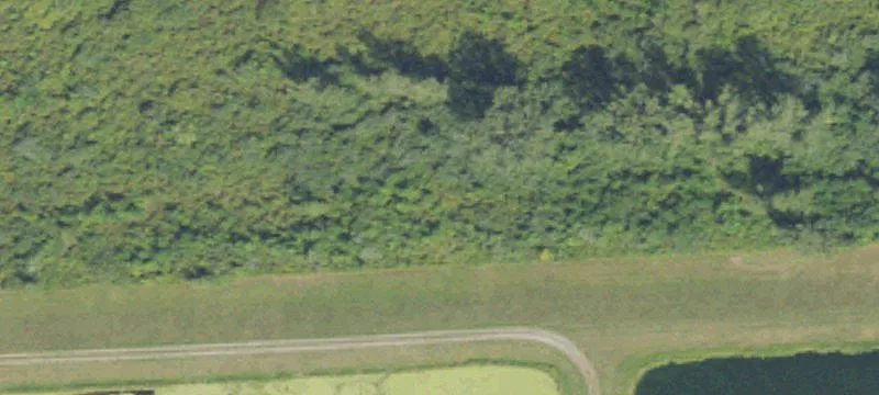 5244 Van Dyke Rd