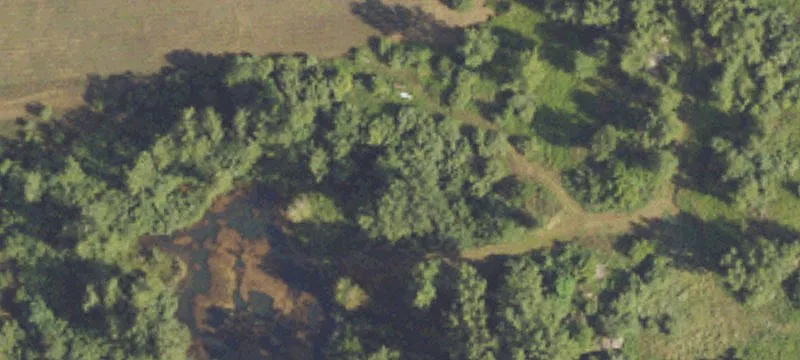 2962 Sanilac Rd
