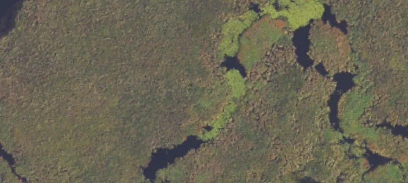 Lupton, MI 48635