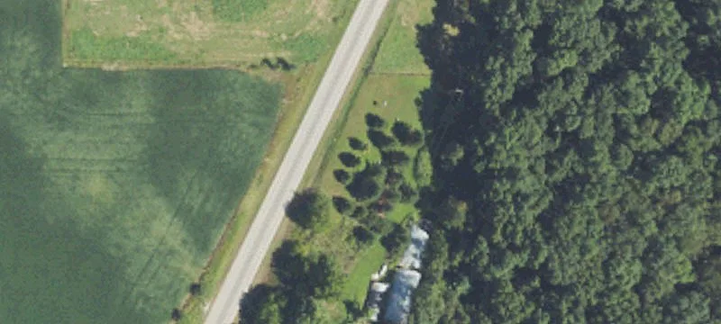 Hamman Rd