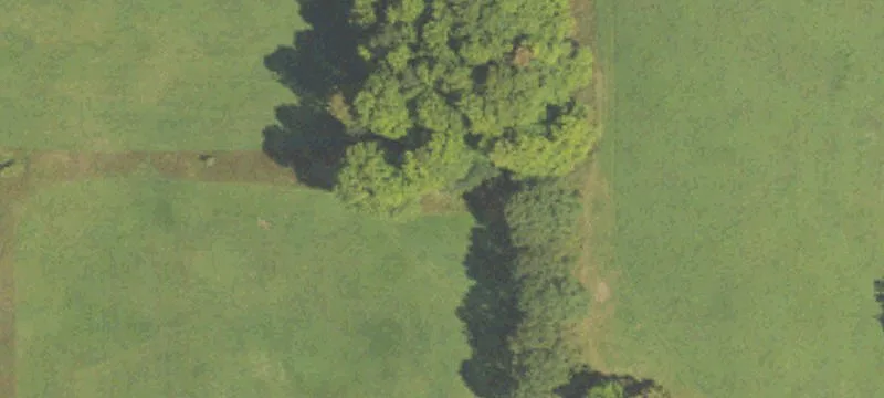 10288 9th Mile Rd
