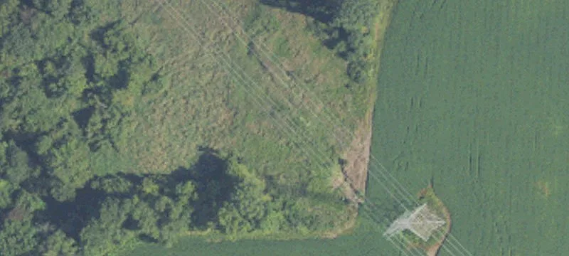 Muskrat Rd