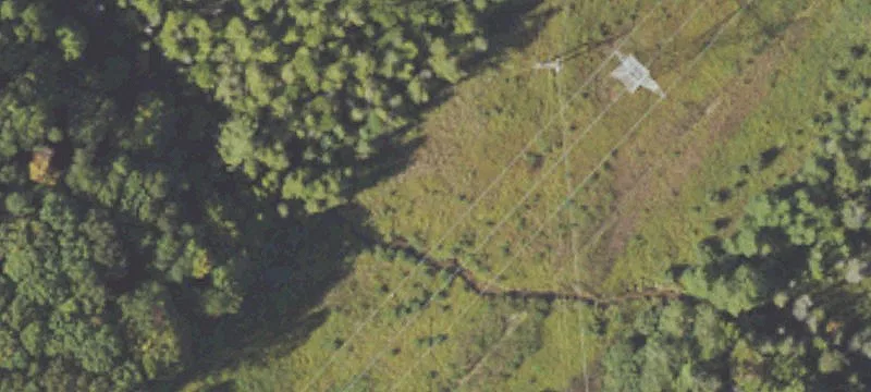 Erwin Rd