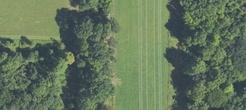 Newaygo, MI 49337