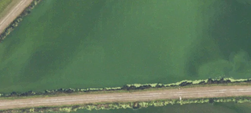 Moran, MI 49760