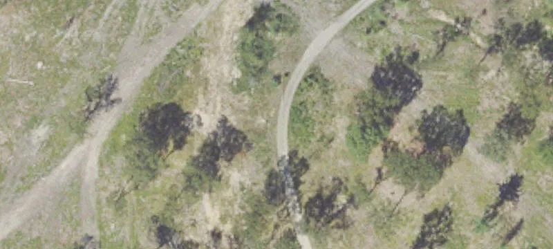 594 Canfield Rd