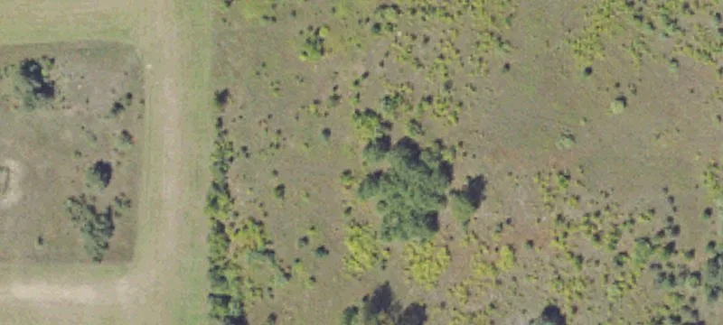 Buckley, MI 49620