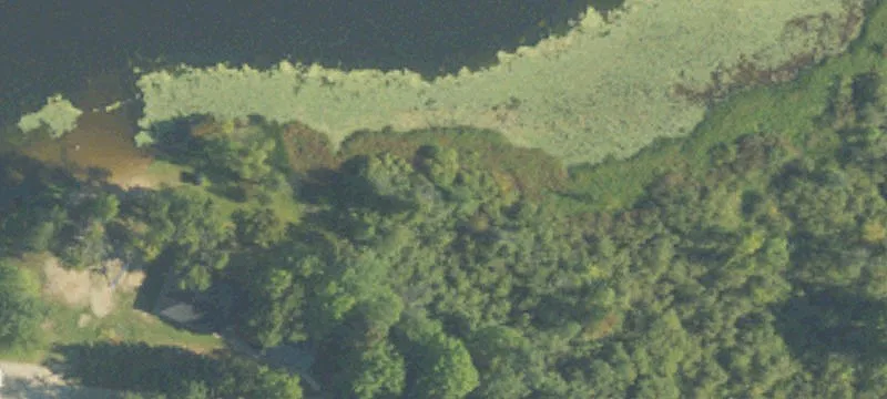 Six Lakes, MI 48886