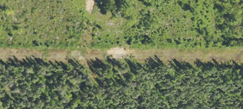 Seney, MI 49883